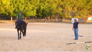 Hipismo: O aquecimento do cavalo de Salto