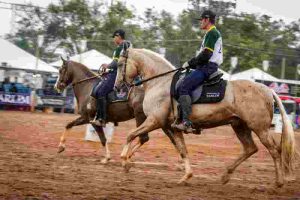 Nacional Mangalarga elege os Grandes Campeões de 2018