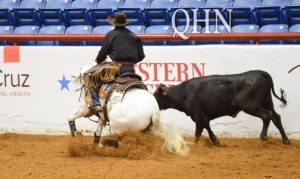 APHA World Show e os títulos em Working Cow Horse e Rédeas