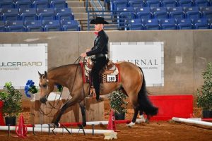 AQHA finalizou Campeonato Mundial para atletas acima dos 50 anos