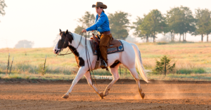 Acalmando cavalos ansiosos