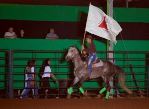 Camaru teve exposições, julgamentos, leilões, rodeio, shows, cavalgada