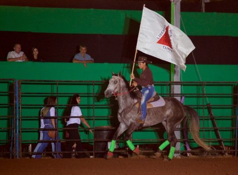Camaru teve exposições, julgamentos, leilões, rodeio, shows, cavalgada