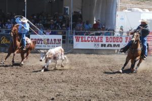 Carretão, uma polêmica no Laço em Dupla