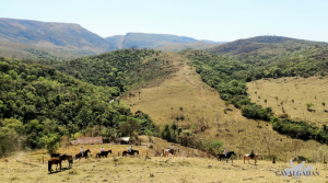 Cavalgada Serra da Canastra – Nascente do rio São Francisco