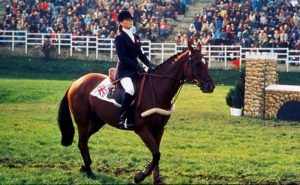 International Velvet