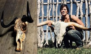 Longhorn Skulls artesanais estão em alta na decoração