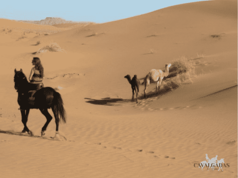Marrocos – Cavalgada das Dunas e Nomades