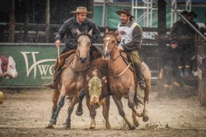 Paleteada e Freio Jovem encerram ciclo do Cavalo Crioulo na Expointer