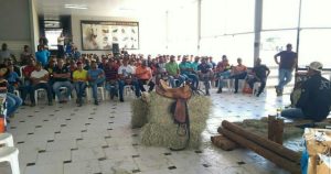 Núcleo integrado do Cavalo promove conhecimento em torno dos equinos