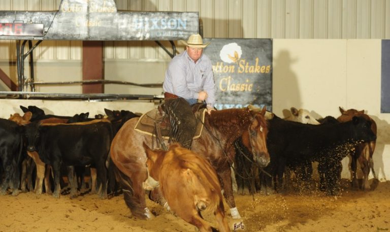 The Cotton Stakes de Apartação realizado com sucesso na Louisiana