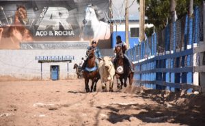 Segunda edição do Circuito Senador Dr Otto Alencar de Vaquejada em alta