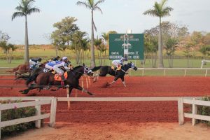 Três recordes foram batidos na pista de Corrida do Jockey de Sorocaba