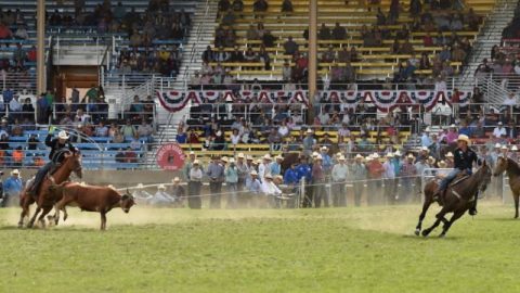 Ídolo mundial de Laço, Trevor Brazile busca NFR em três modalidades
