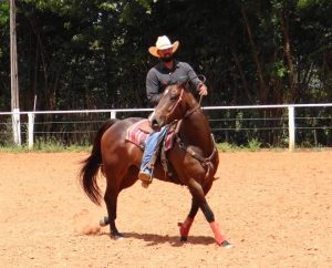 Treinador de Três Tambores aposta na Capital Federal