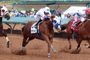 Prova mais importante do mundo para a Corrida já tem seu novo campeão