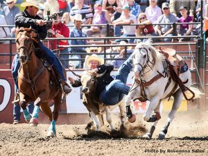 Título do Bulldog esse ano em Ellensburg pela PRCA foi de Billy Bugenig