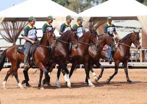 40ª Nacional Mangalarga começou com promessa de grandes emoções