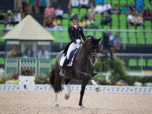 Valegro, um dos cavalos mais premiados do Hipismo mundial