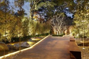 A iluminação certa para dar um up no paisagismo do seu jardim