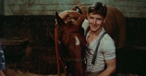 Phar Lap – uma inacreditável história real