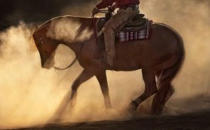 Rédeas: dicas preciosas de treinamento de cavalos para rollbacks