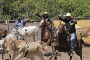 Encerrado campeonato 2018 da Liga Leste Paulista de Team Penning