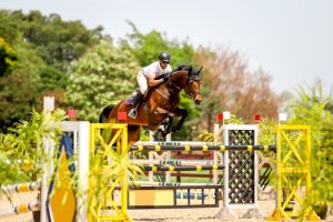 Agromen: Brasileiro de Cavalos Novos teve uma boa participação e nível técnico