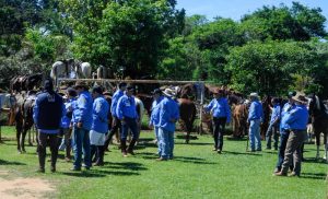 A Bierrenbacada reuniu mais de 50 cavaleiros em Cavalgada