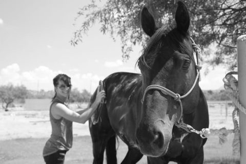 Dez coisas para fazer com o seu cavalo quando você está estressado
