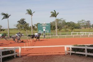 Mate Dash venceu a III Tríplice e Sassy Eaglette o Taça de Ouro no JCS