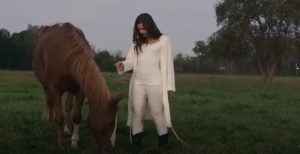 Horse Camp – Um Verão Inesquecível