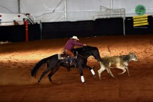 Nelson Rodrigues tem agora nove títulos PF ABQM de Working Cow Horse