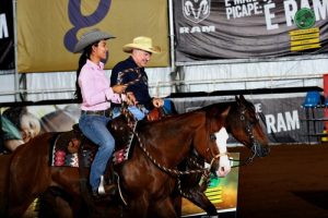 Cinco Tambores, Working Cow Horse, Laço Individual entre as disputas