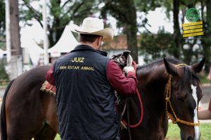 Apartação, Três Tambores e Laço no penúltimo dia de PF e Copa ABQM