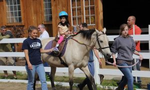 Quatro maneiras que cavalos curam crianças e adultos com deficiências