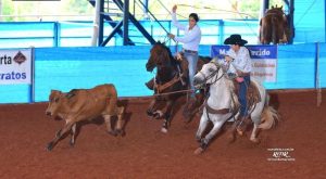 Team Roping cada vez mais em alta com as mulheres