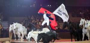 Salon Du Cheval D’El Jadida