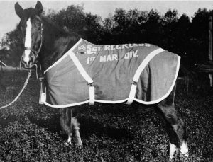 Sergeant Reckless foi um cavalo de guerra condecorado