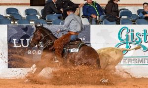 NRCHA Snaffle Bit Futurity de Working Cow Horse em andamento