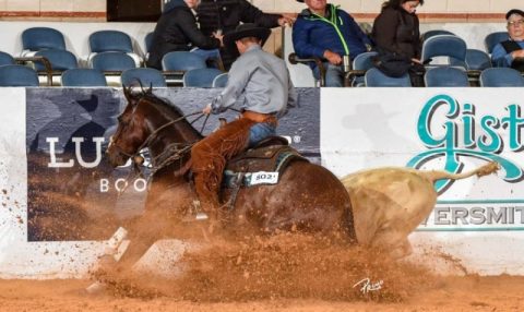 NRCHA Snaffle Bit Futurity de Working Cow Horse em andamento