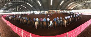 Team Roping dos Campeões em Bálsamo ultrapassou 2500 inscrições!