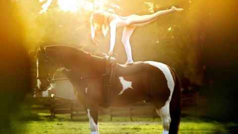 The Horse Dancer
