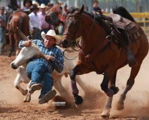 Bulldog movimentou rancho em Vargem Grande do Sul