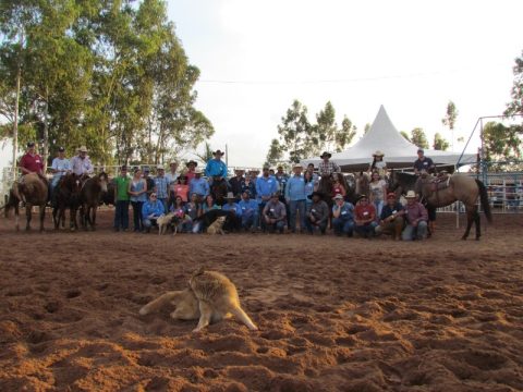 Curso Ranch Sorting com americano teve mais de 40 participantes
