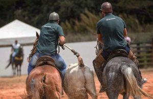 Liminar acaba com proibição de Vaquejada em Brasília