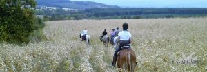 Conhecendo a Bulgária a cavalo