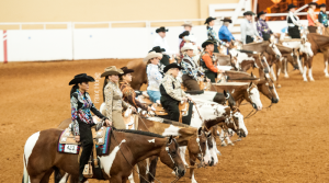 APHA premiou com títulos de High-Point Ranch Horse no Mundial 2018