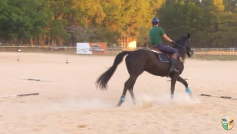 Um exercício para ritmo e cadência ao galope