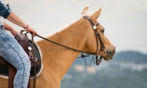 Cinco dicas para mantê-lo seguro na sela